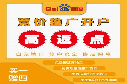 SEM搜索引擎优化：成功案例解析